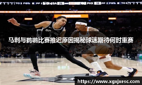 马刺与鹈鹕比赛推迟原因揭秘球迷期待何时重赛